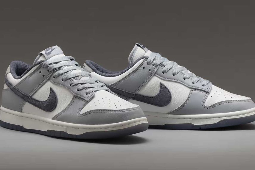 Nike Dunk Low Retro PRM Nike Dunk Low Retro PRM