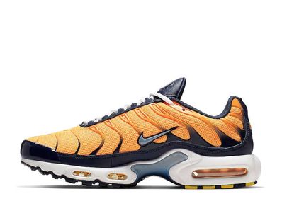 Nike air 2025 max plus rf