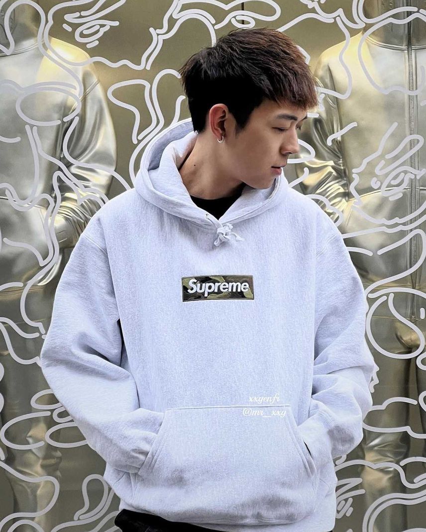 Supreme Box Logo Hooded Sweatshirt Supreme Box Logo Hooded Sweatshirt