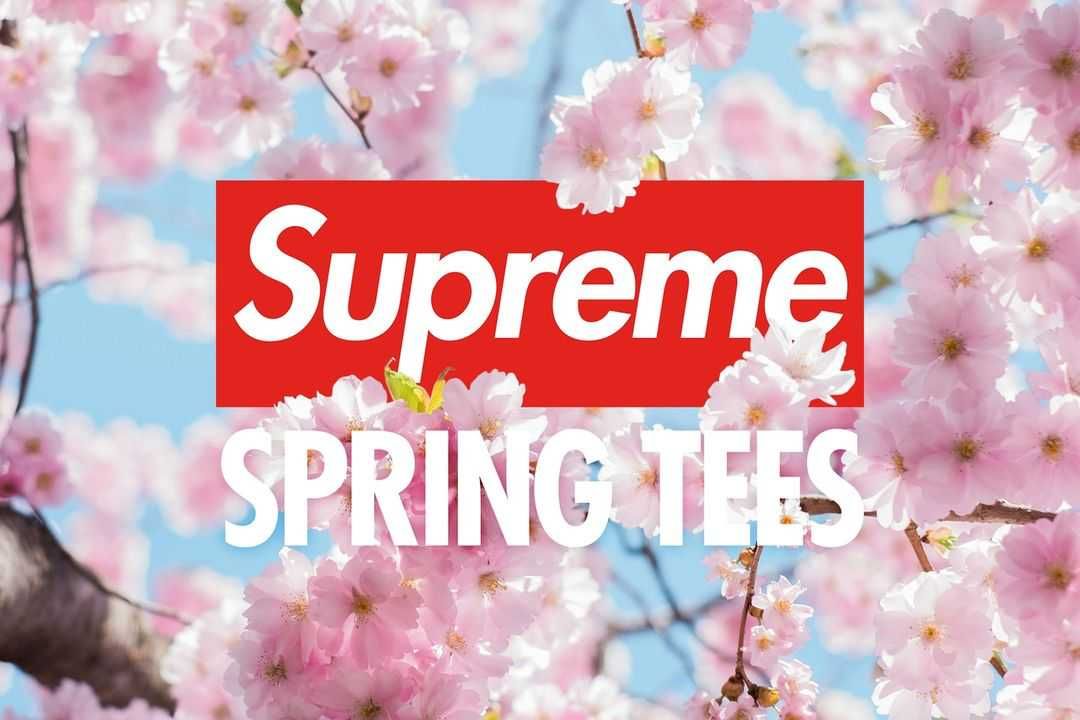 4/13発売|Supreme 24SS Week9 "Spring Tees"|抽選/販売/定価情報