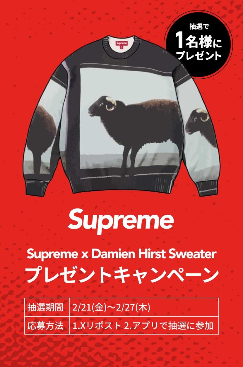 Supreme 25SS × Damien Hirst Sweater プレゼントキャンペーン | SNKRDUNK Supreme 25SS × Damien Hirst Sweater プレゼントキャンペーン | SNKRDUNK