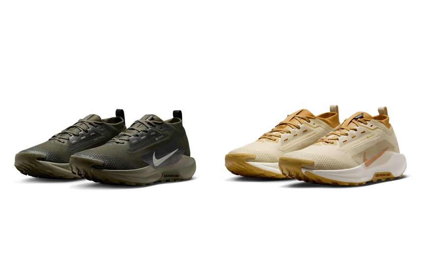 Nike Pegasus Trail 5 GORE-TEX Nike Pegasus Trail 5 GORE-TEX