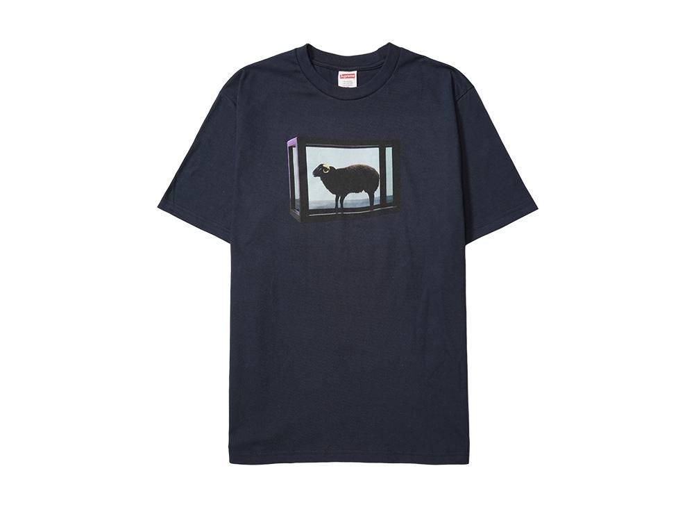 Supreme Damien Hirst Tee  