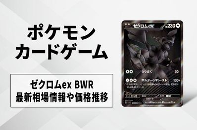 8月24日まで値下げ【PSA10】ゼクロムex BWR #4531/51 8月24日 8月24日まで値下げ【PSA10】ゼクロムex BWR #4531/51 8月24日