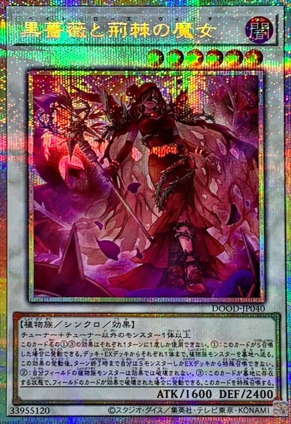 黒薔薇と荊棘の魔女
