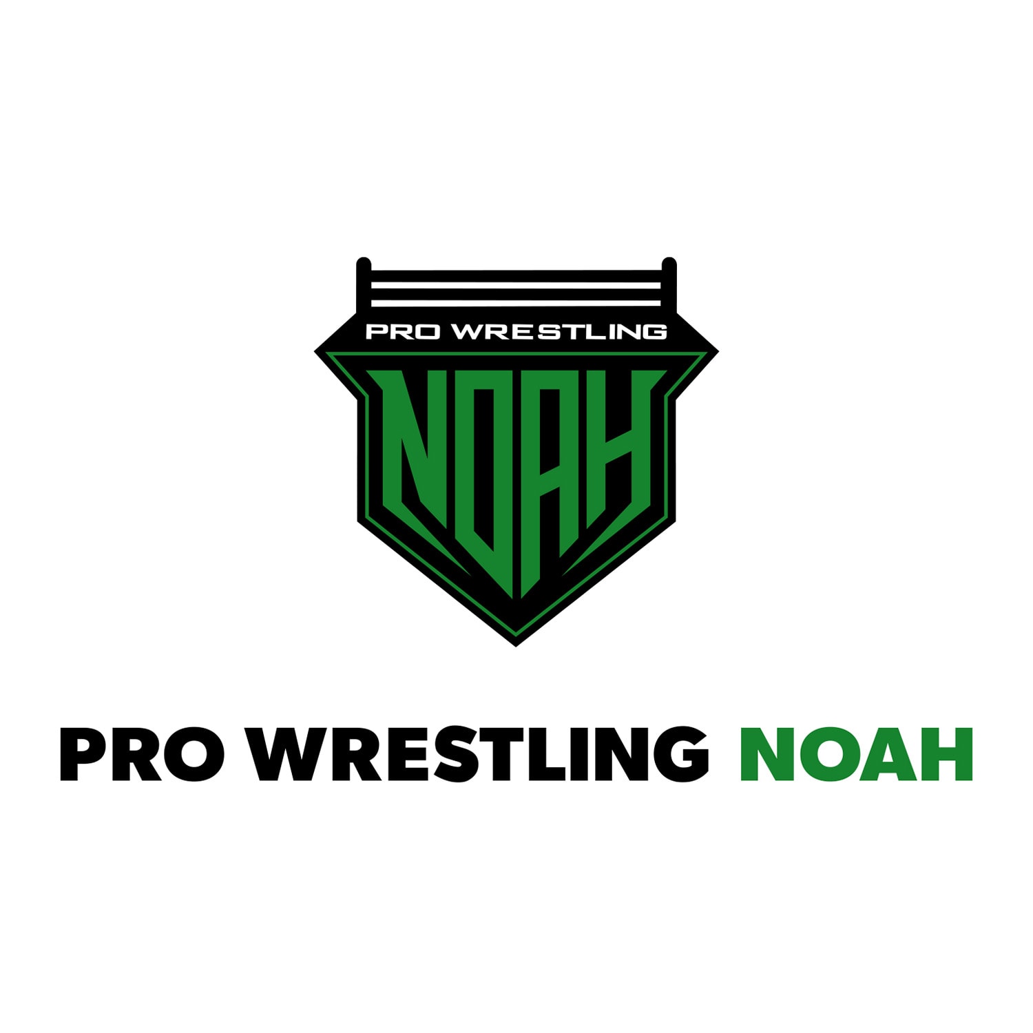 PRO WRESTLING NOAH 25th ANNIV  GOCCODO Go-keshi Wonder Battle