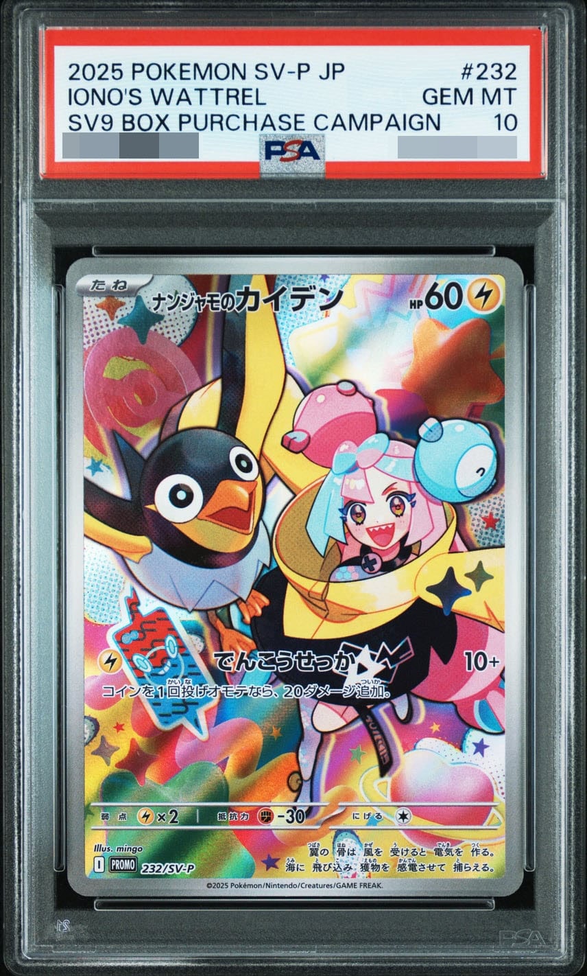 ナンジャモのカイデン P