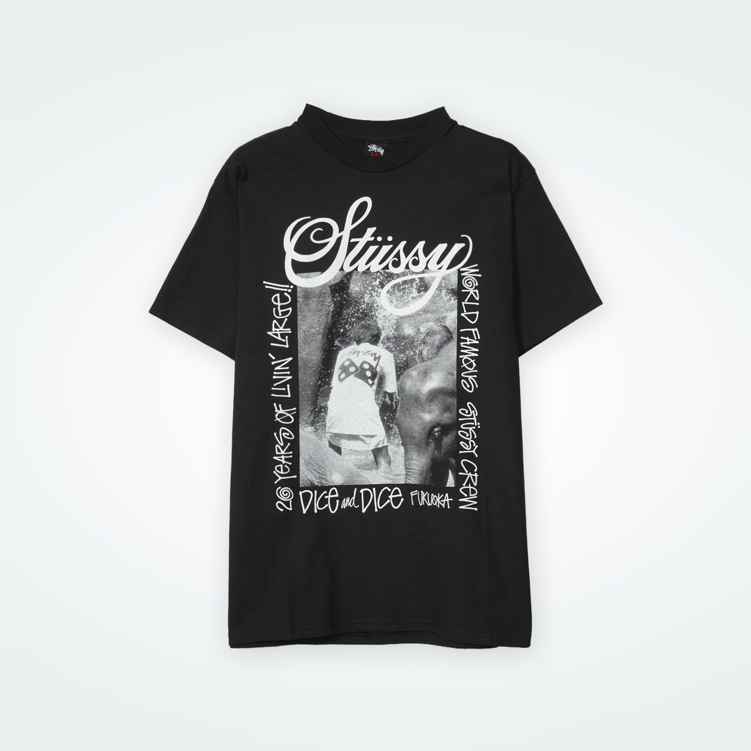 STUSSYCHAPTER TEE