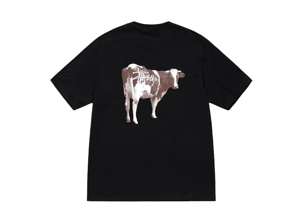 24SS Stussy Grassfed tee ホワイト XXL