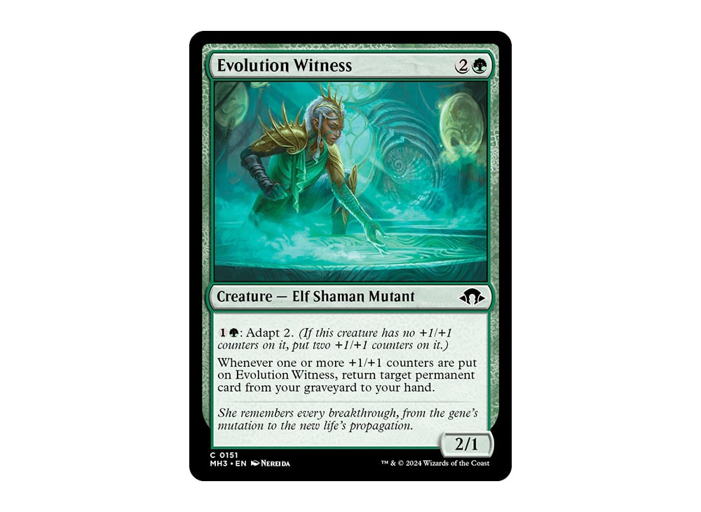Evolution Witness C :Foil [MH3 0151] [EN](Modern Horizons 3) | SNKRDUNK