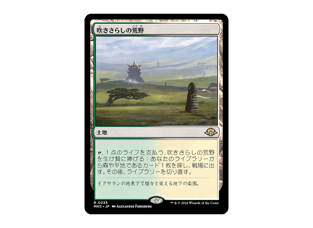 マジック：ザ・ギャザリング 吹きさらしの荒野 日本語版 マジック：ザ・ギャザリング 吹きさらしの荒野 日本語版 [EX