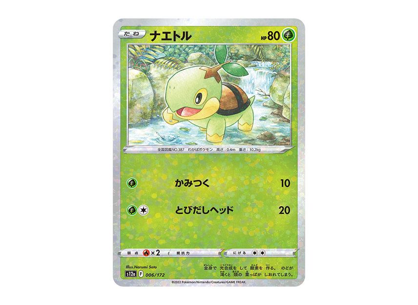 Turtwig Cards & Artwork | The Art of Pokémon Turtwig Cards & Artwork | The Art of Pokémon