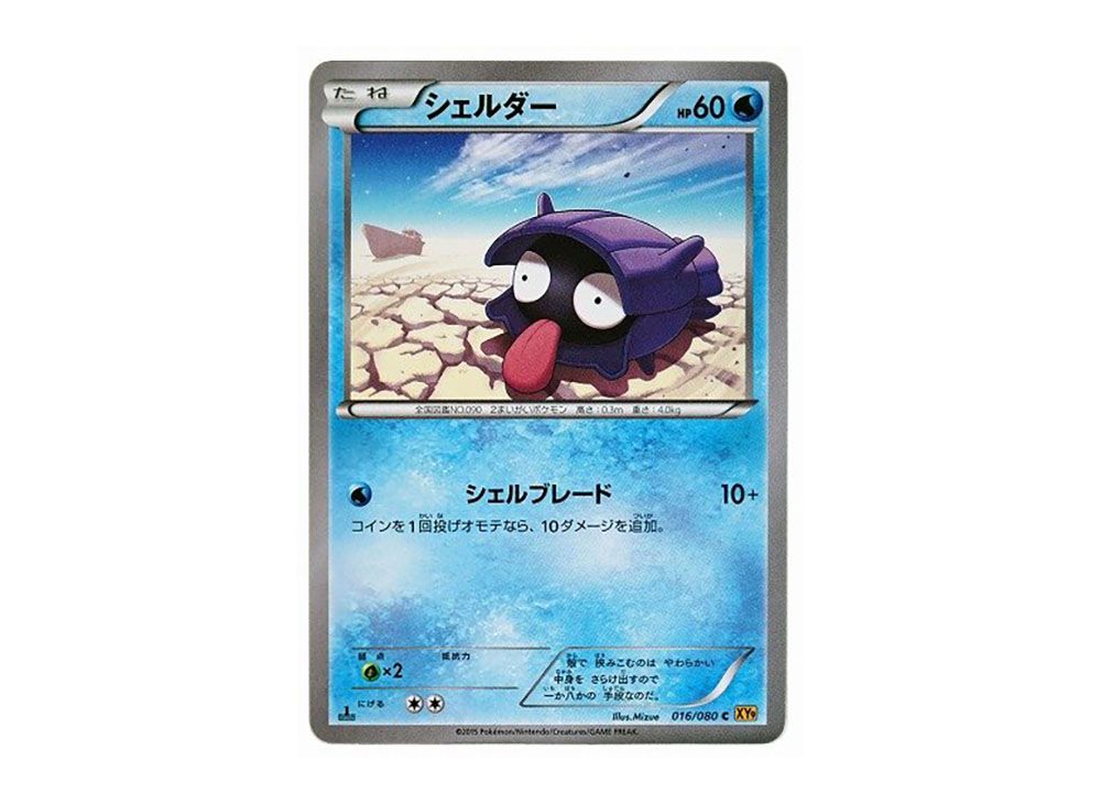 Shellder C :1ED [XY9 016/080](Expansion Pack 