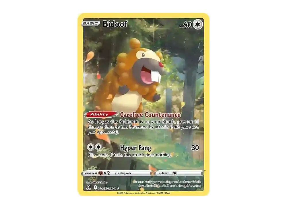 Bidoof IR [GG29/GG70](Sword & Shield 
