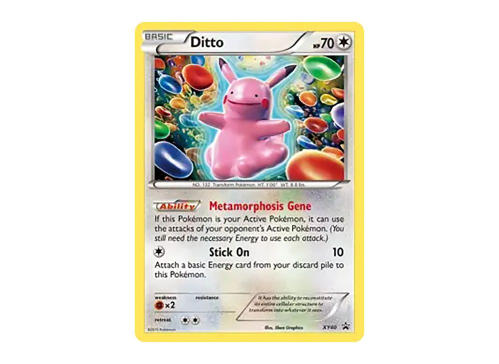 Ditto P [XY40](XY 