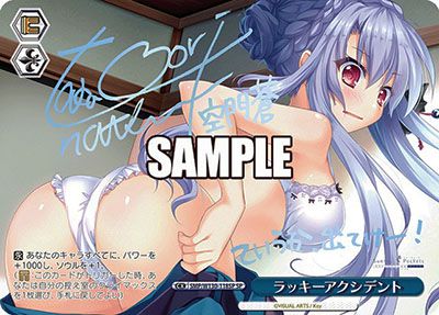 ラッキーアクシデント SP