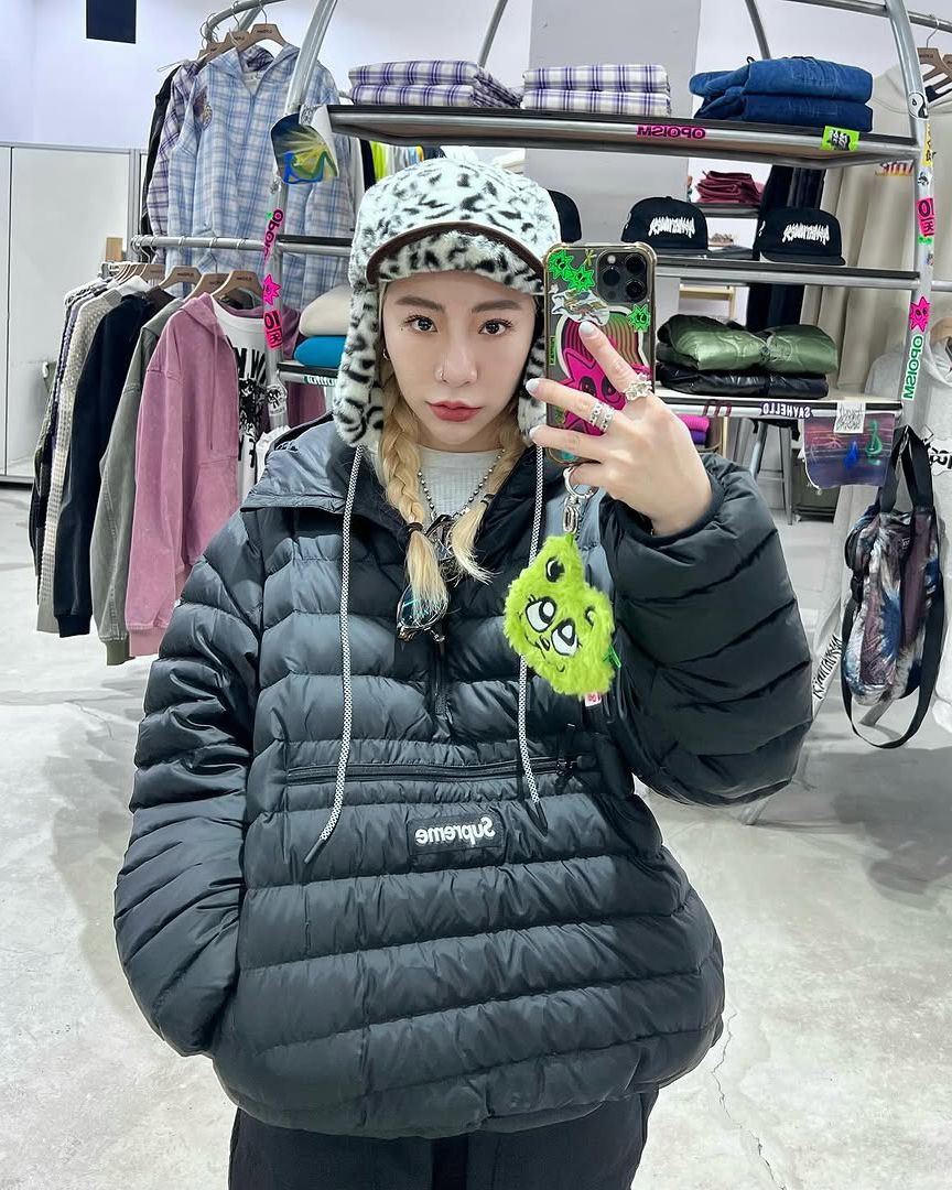 Supreme Micro Down Half Zip Hooded Pullover 