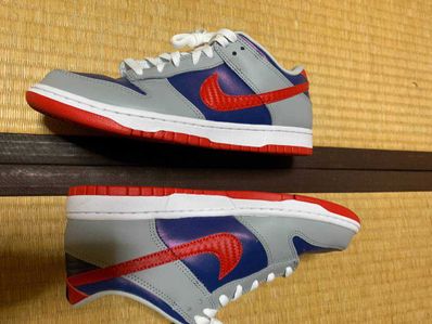 Nike Dunk Low "Samba"