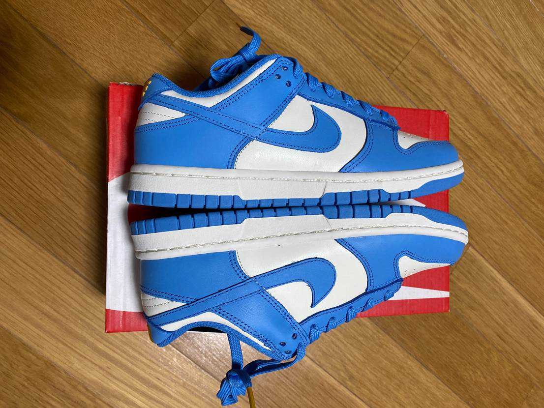 Nike Women's Dunk Low "Coast"