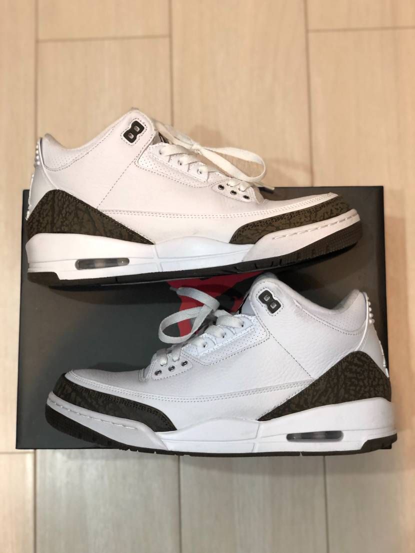 Nike Air Jordan 3 Retro "Mocha" (2018)
