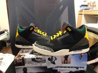 Nike Air Jordan 3 Retro SE "Animal Instinct 2.0/Safari"
