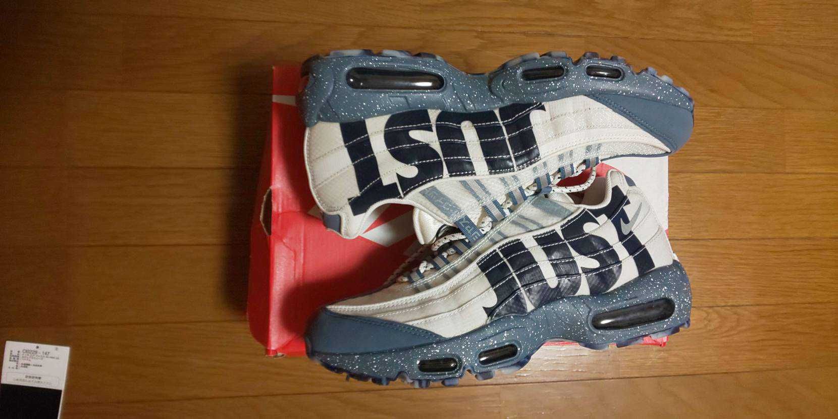 Nike Air Max 95 "Just Do It Mt. Fuji"