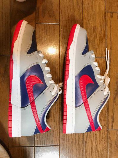 Nike Dunk Low "Samba"