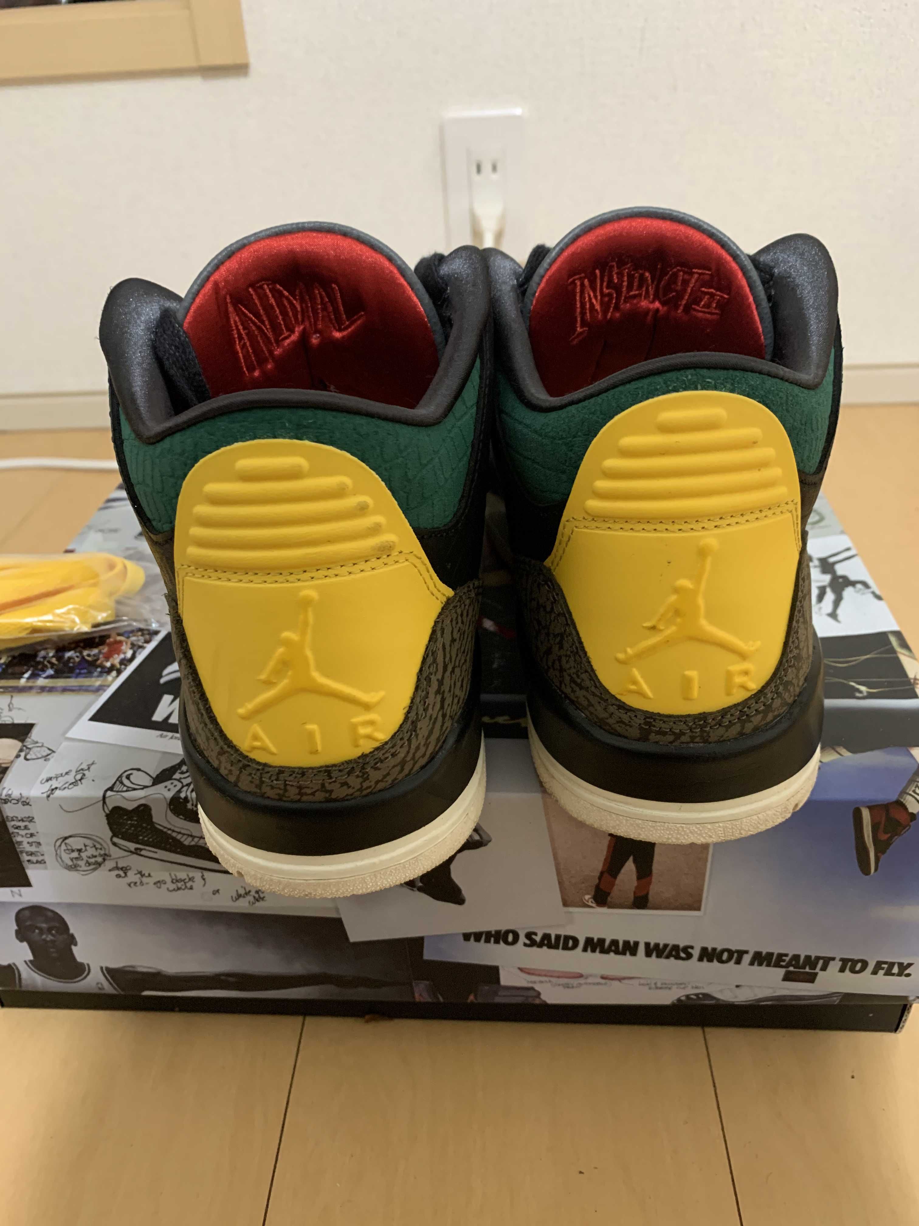 Nike Air Jordan 3 Retro SE "Animal Instinct 2.0/Safari"