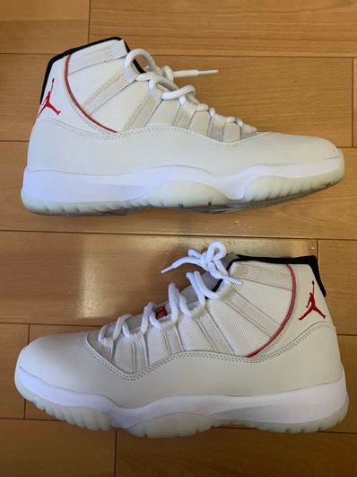 Retro 11 2025 platinum tint jacket