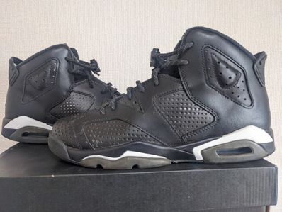 Air jordan retro 6 black cat hot sale