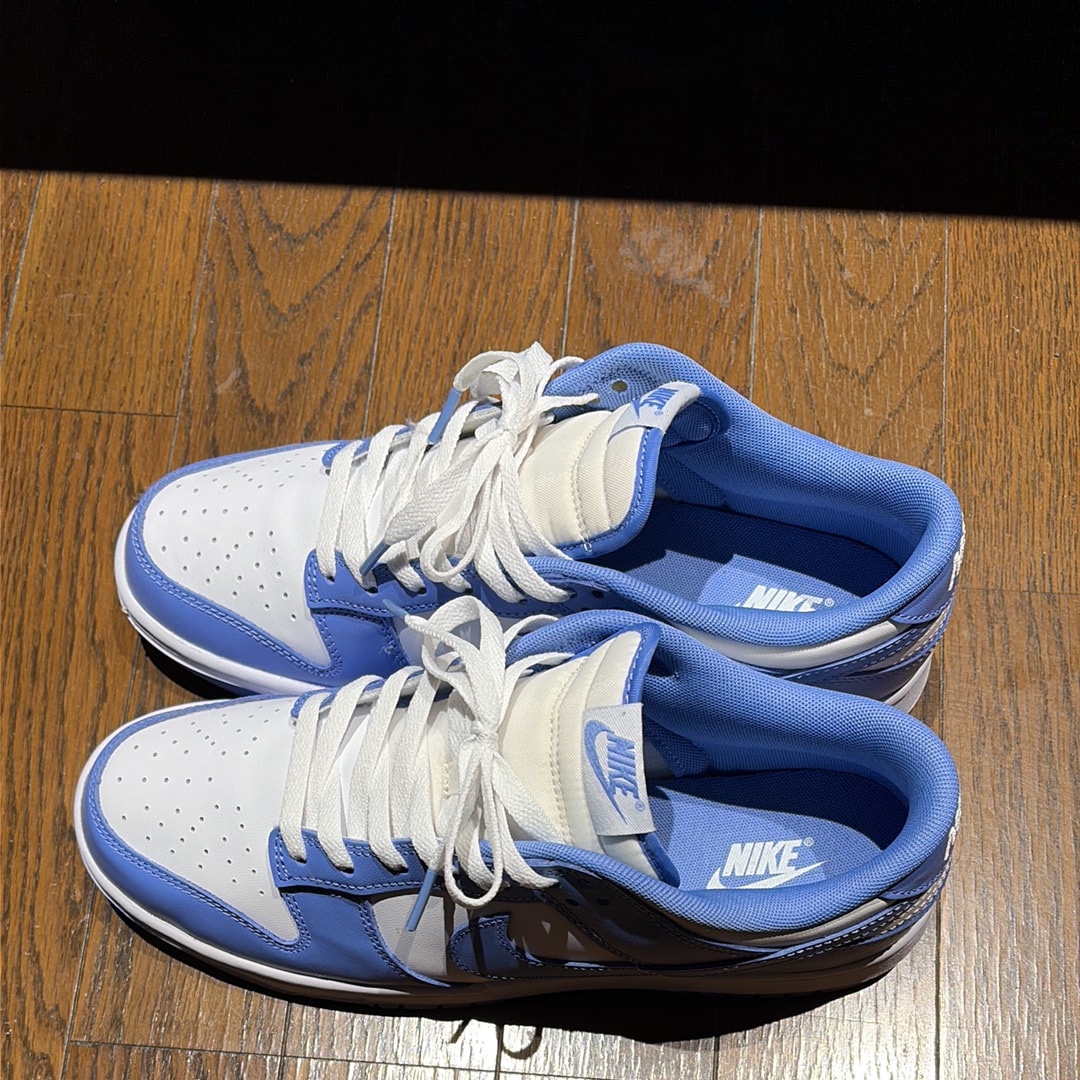 Nike Dunk Low Retro BTTYS "Polar Blue"