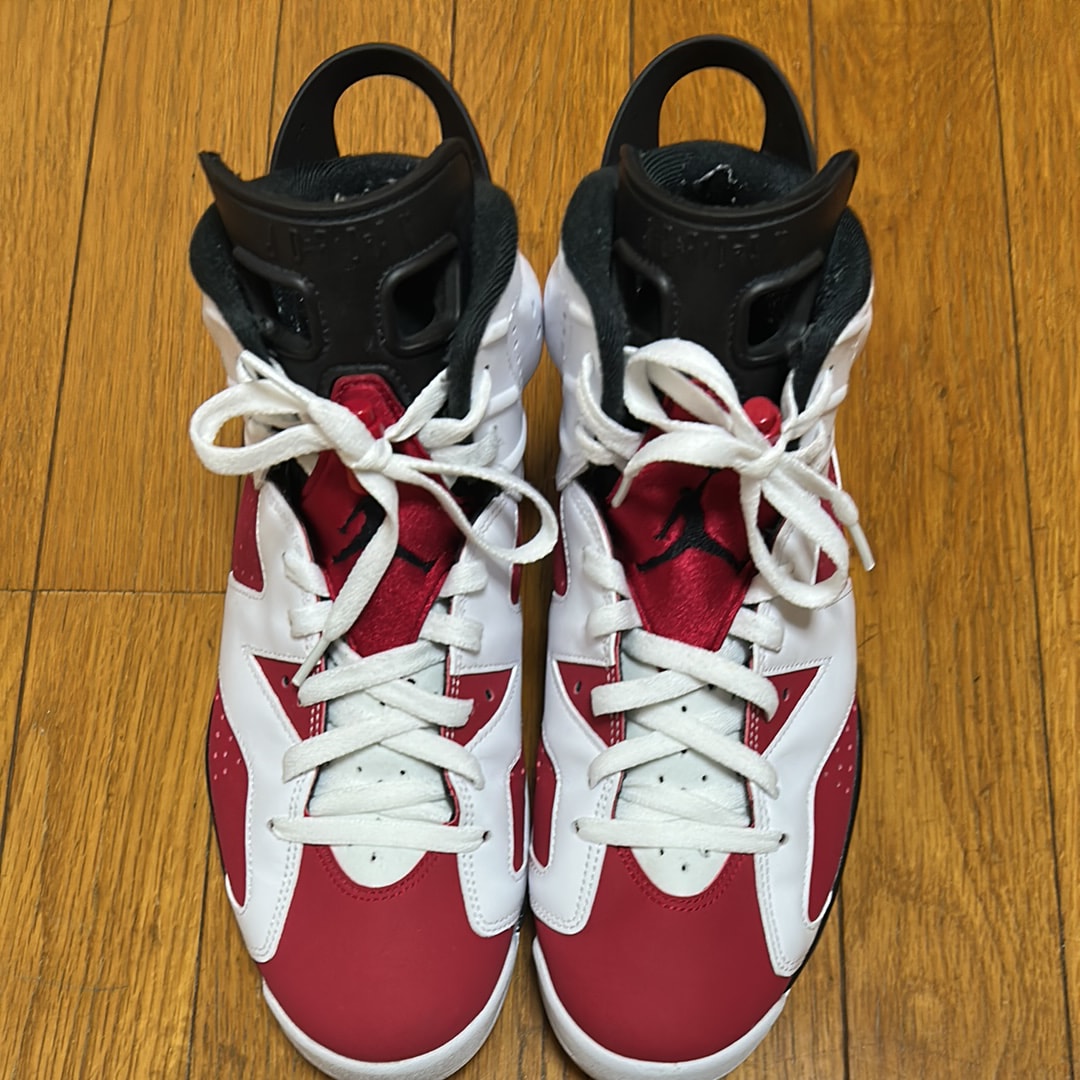 Nike Air Jordan 6 "Carmine" (2021)