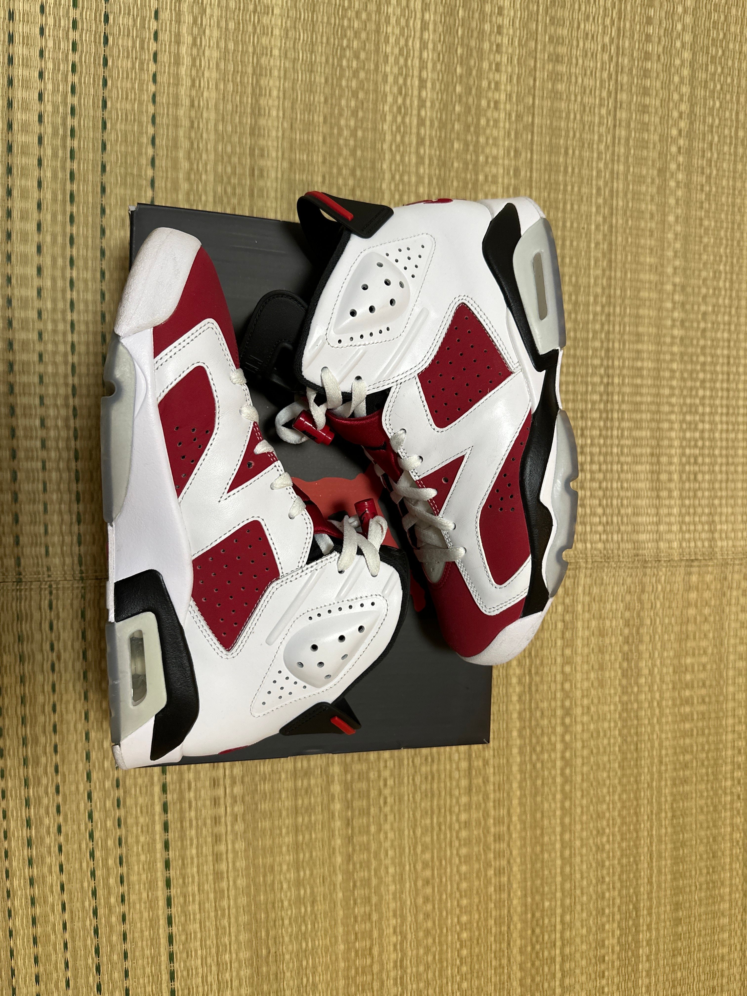 Nike Air Jordan 6 "Carmine" (2021)