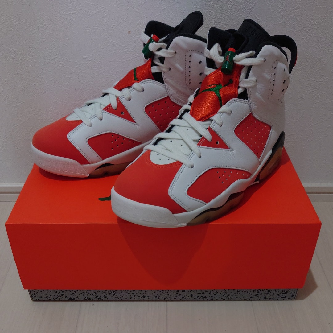 Nike Air Jordan 6 Retro "Gatorade Like Mike White" 