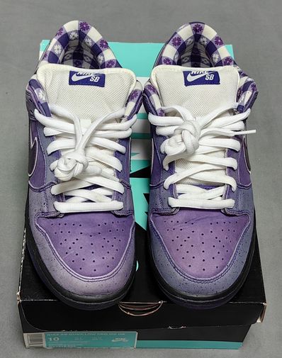 Concepts × Nike SB Dunk Low