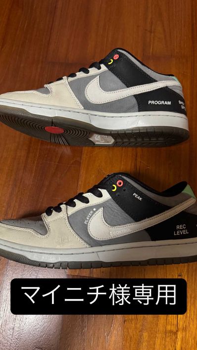 Nike SB Dunk Low Pro "VX1000 Camcorder"