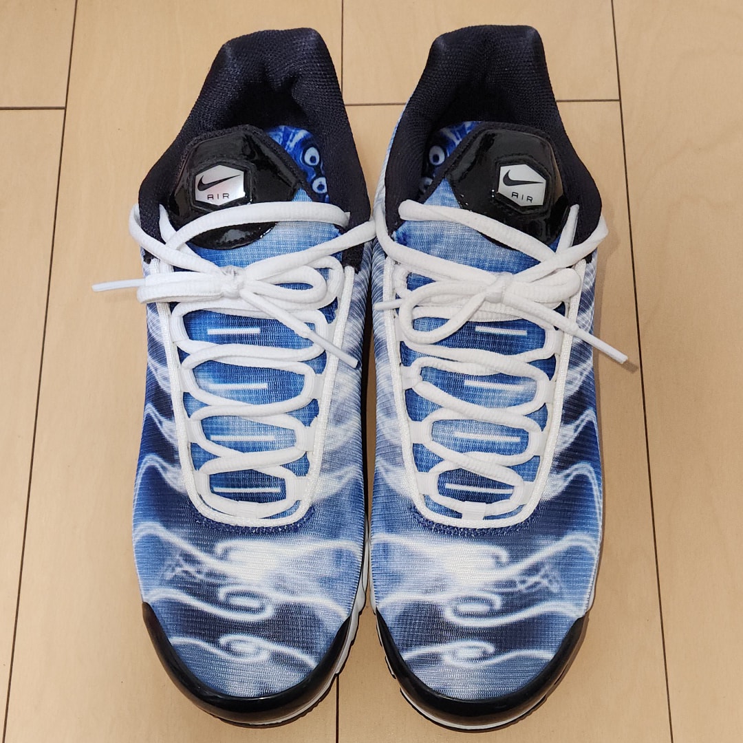 ナイキ エアマックスプラス OG "アイスブルー"