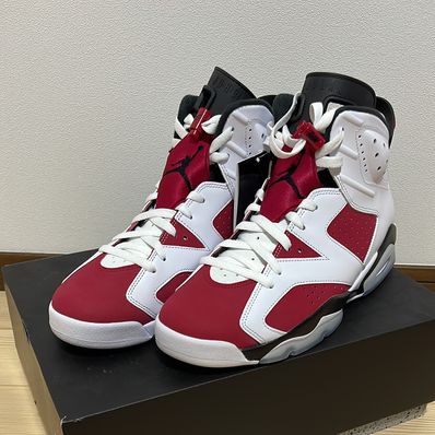 Nike Air Jordan 6 "Carmine" (2021)
