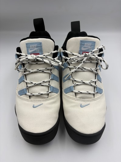 Supreme × Nike SB Darwin Low "White"