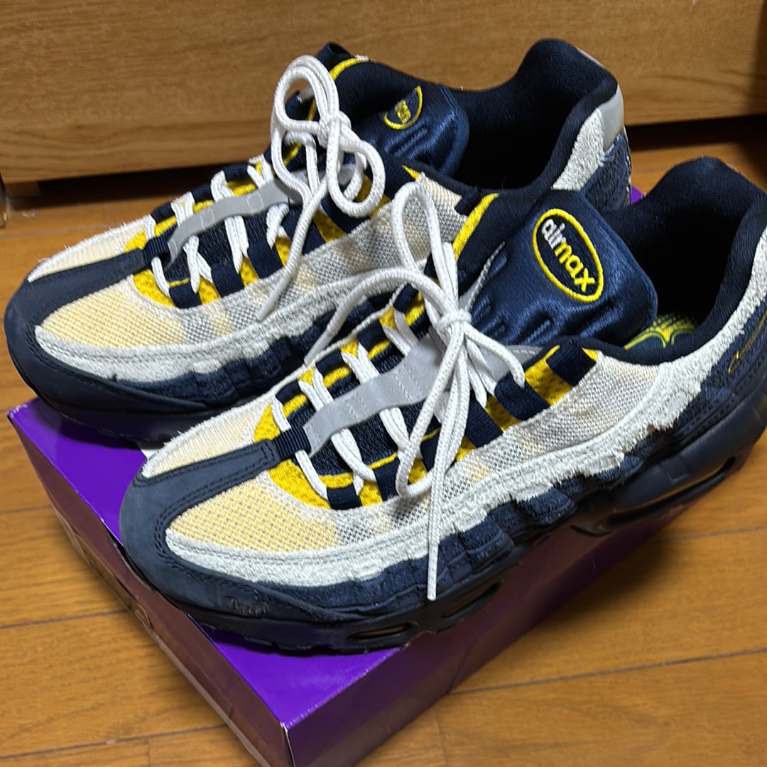 Eric Koston × Nike SB Air Max 95 "Obsidian and Speed Yellow"