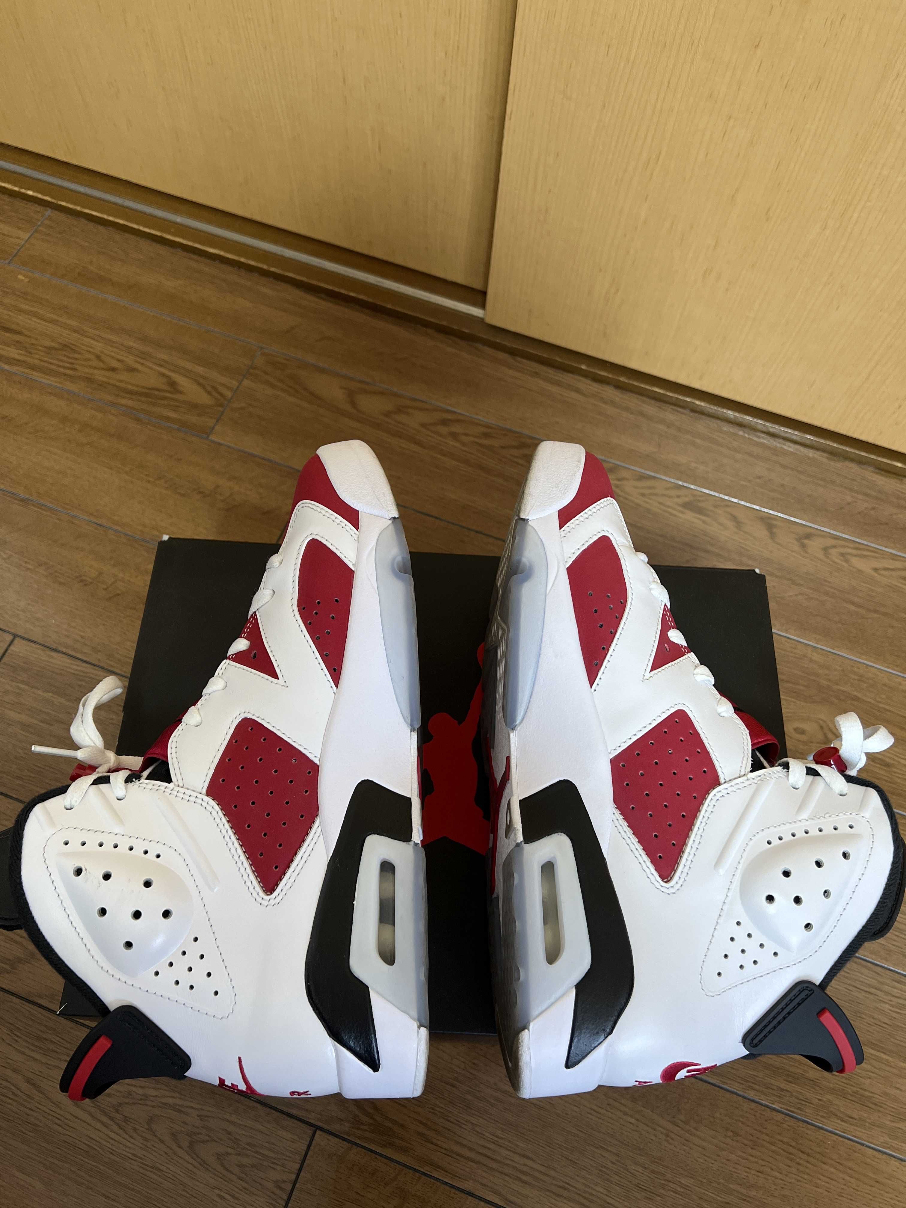 Nike Air Jordan 6 "Carmine" (2021)