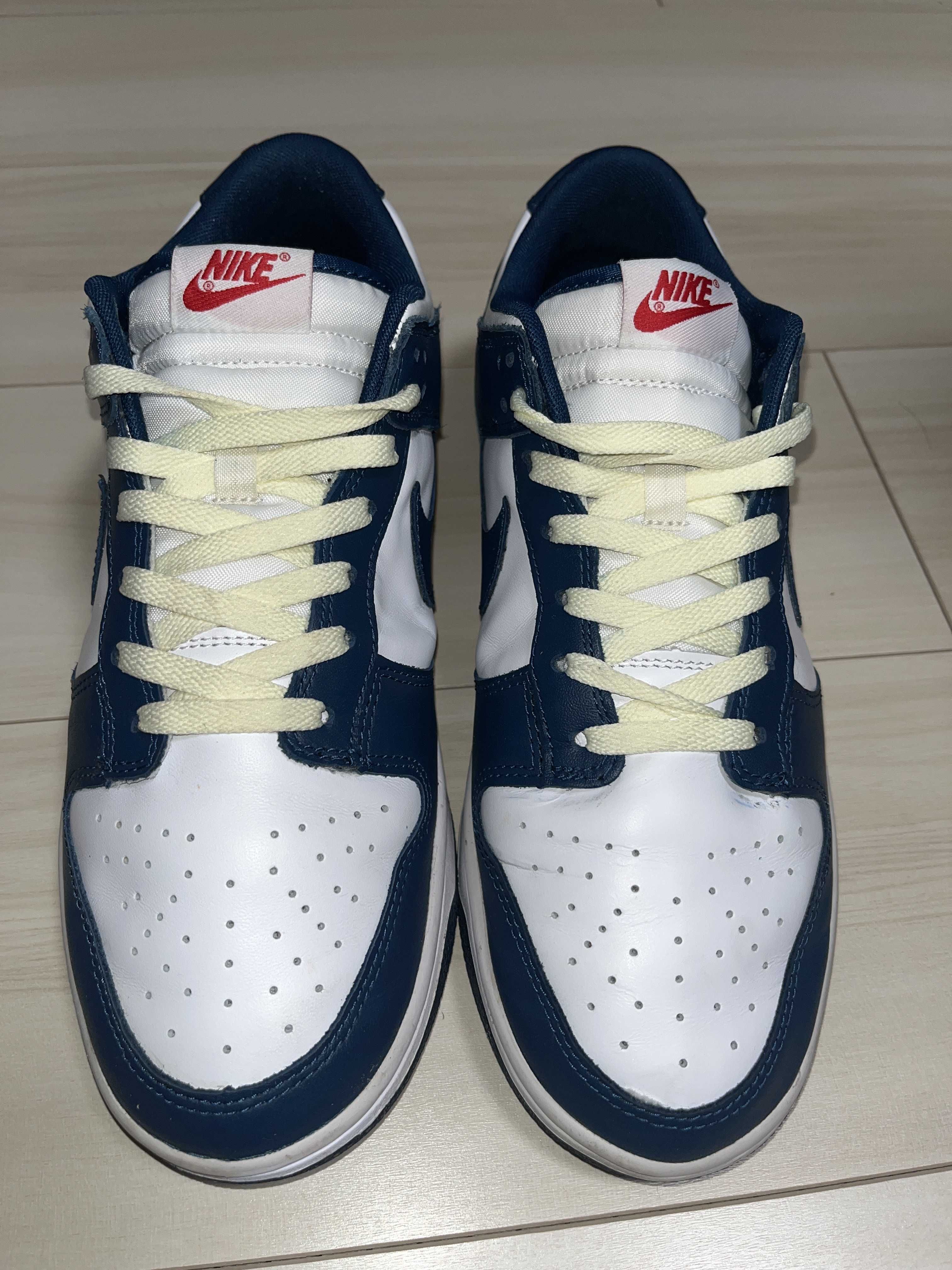 Nike Dunk Low "Valerian Blue"