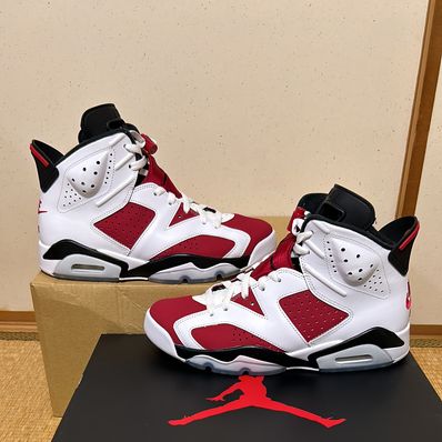 Nike Air Jordan 6 "Carmine" (2021)