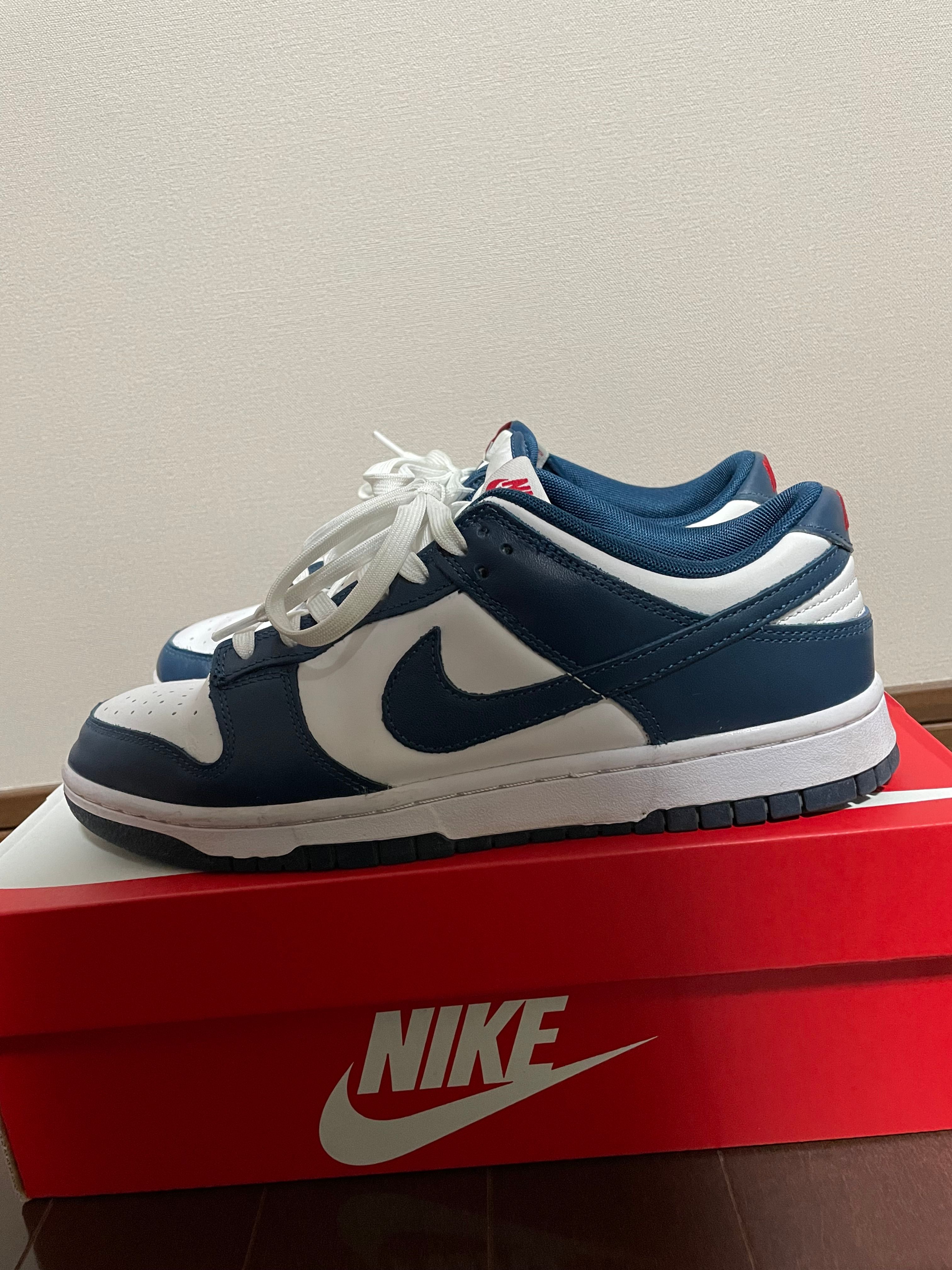 Nike Dunk Low "Valerian Blue"