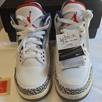 Nike Air Jordan 3 Retro "True Blue" (2016)