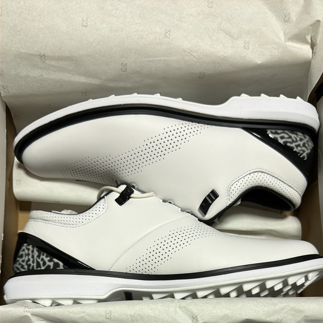 Nike Jordan ADG 4 "White/Black"