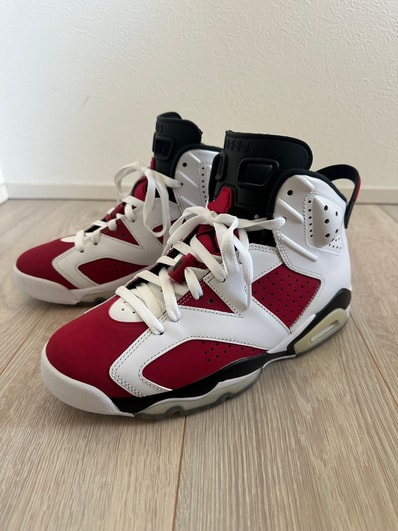 Nike Air Jordan 6 "Carmine" (2021)