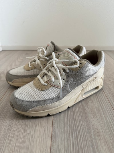 Nike Air Max 90 "Muslin/Pale Ivory/College Grey/Sail"