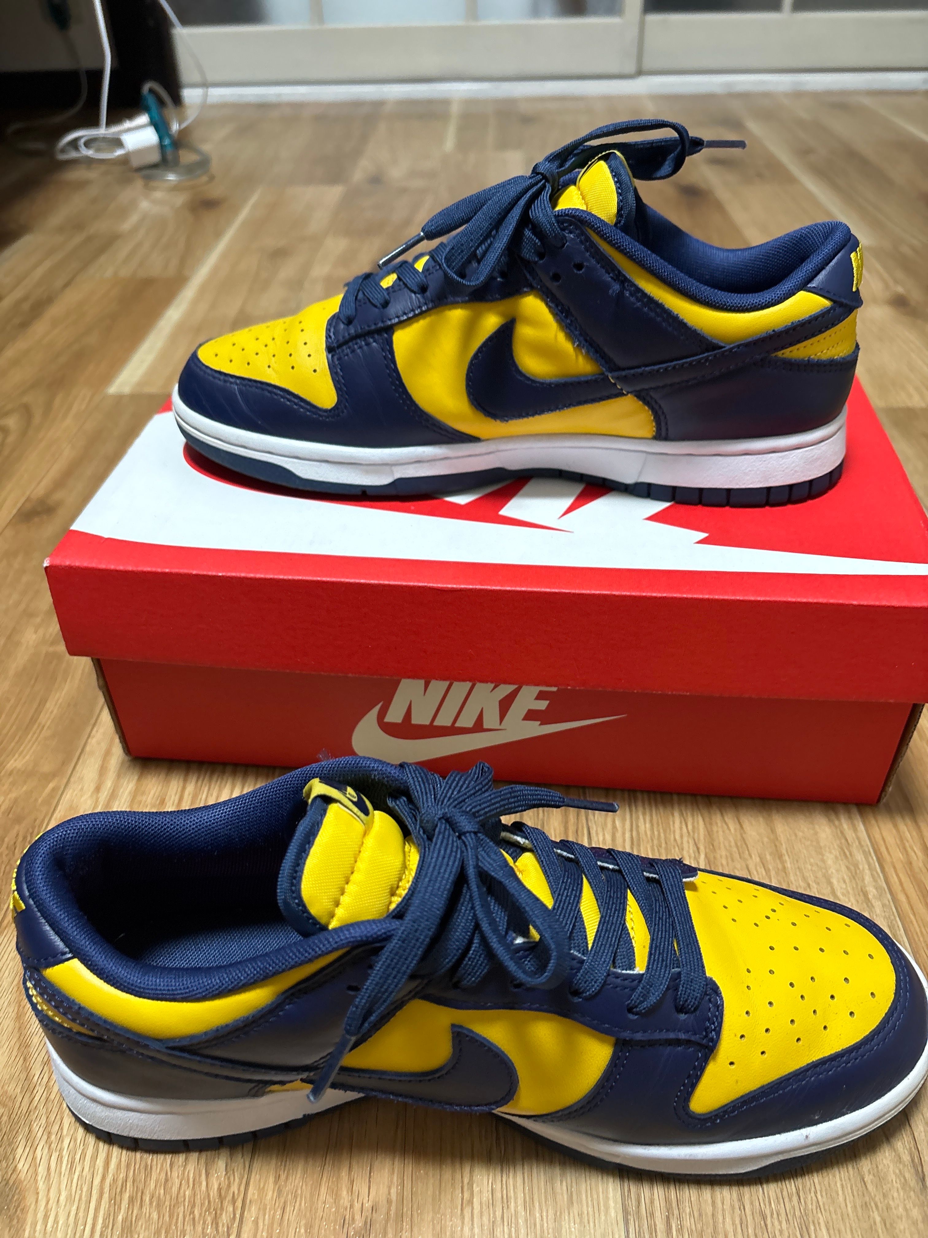 Nike Dunk Low "Michigan"
