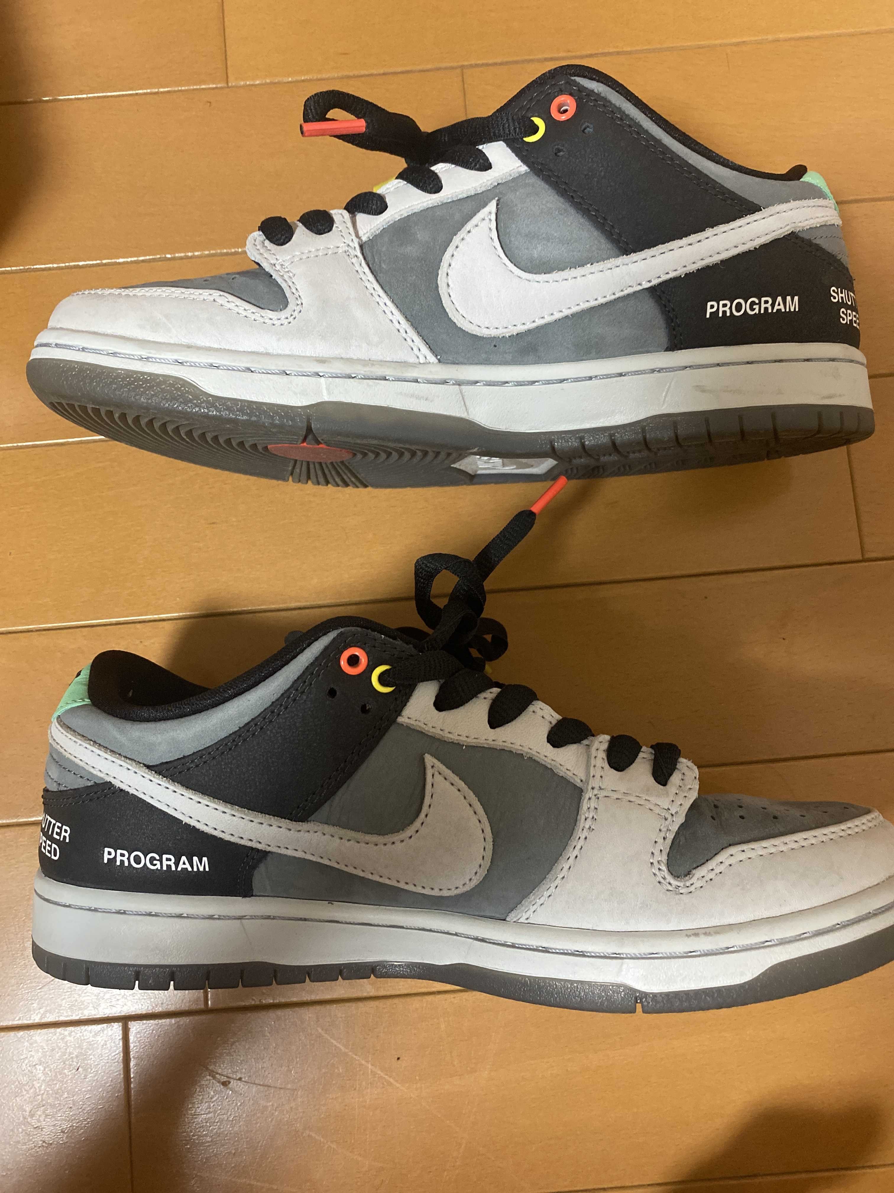 Nike SB Dunk Low Pro "VX1000 Camcorder"